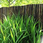 Cloture Bambou Jardin (2)