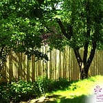 Cloture Bambou Jardin (3)