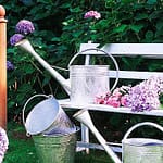 Fontaine a eau Jardin