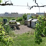 Le Potager du Roi - Versailles (10)