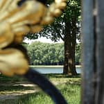 Le Potager du Roi - Versailles (25)