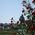 Le Potager du Roi - Versailles (29)
