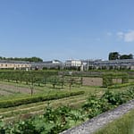 Le Potager du Roi - Versailles (3)