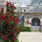 Le Potager du Roi - Versailles (32)