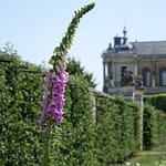 Le Potager du Roi - Versailles (36)