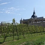 Le Potager du Roi - Versailles (6)