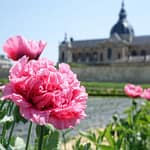 Le Potager du Roi - Versailles (8)