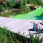 Piscine Bioteich Jardin (1)