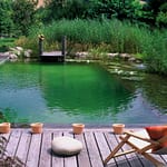 Piscine Bioteich Jardin (3)
