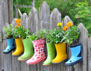 Bottes plantées
