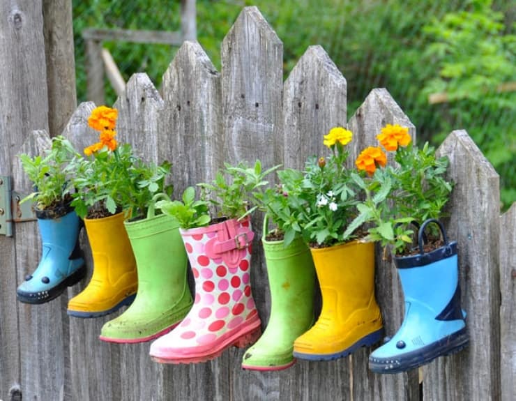 Bottes plantées